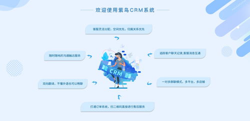 電商行業(yè)CRM云客服管理系統(tǒng)選哪家？紫鳥云客服——互聯(lián)網(wǎng)信息技術(shù)服務(wù)的卓越選擇